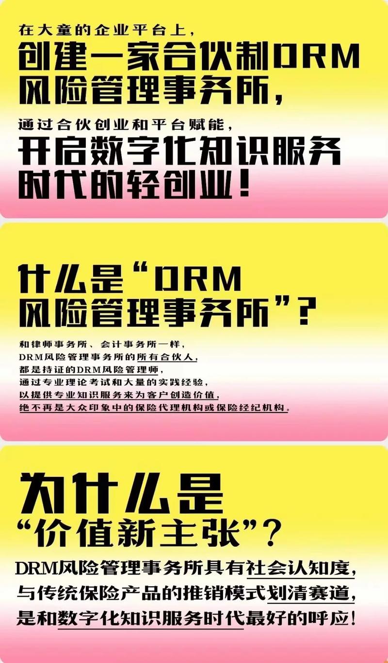 来大童创建自己的drm风险管理事务所来大童创建自己的d