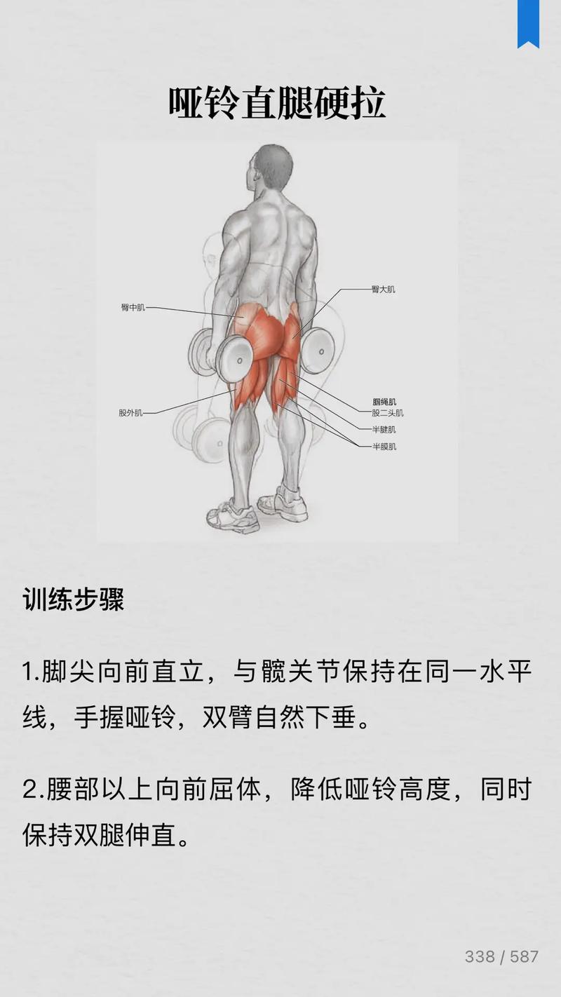 知识点 哑铃直腿硬拉 变强需要多少天