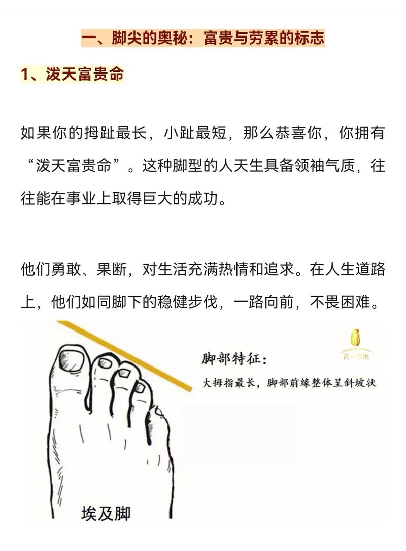 看脚型知道你是富贵还是劳碌每个人都有一双脚这双脚