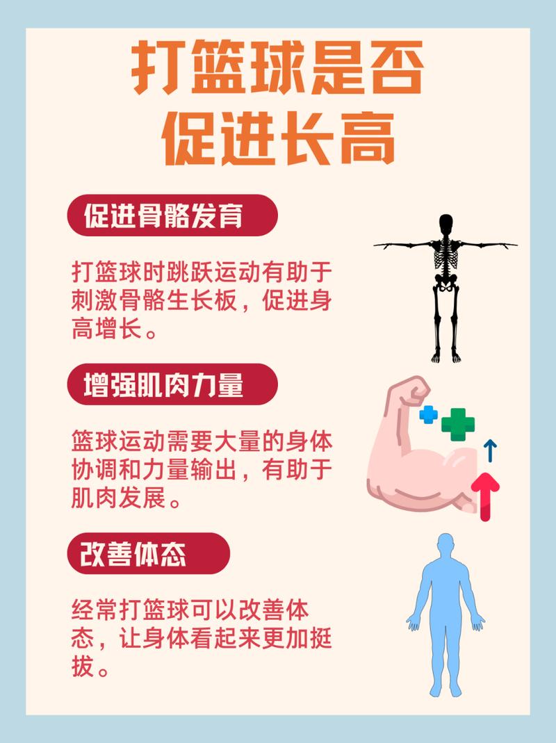 97打篮球真能帮你长高揭秘背后真相