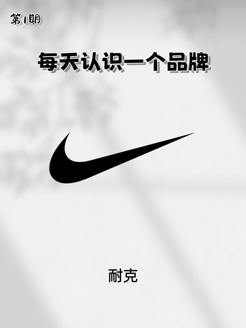 第1期 今天认识的品牌是耐克nike 持续更新中捂脸blue喜欢的