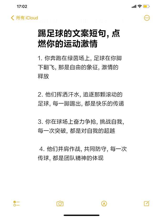 你奔跑在绿茵场上 足球在你脚下翻飞 那是自由的象征 激情的释放