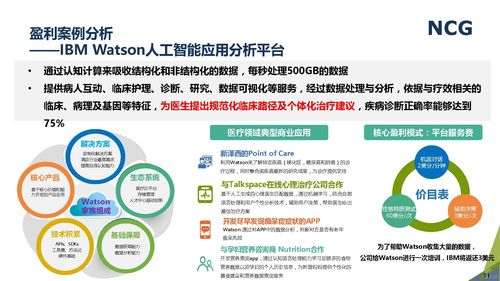 ibm watson盈利案例分析