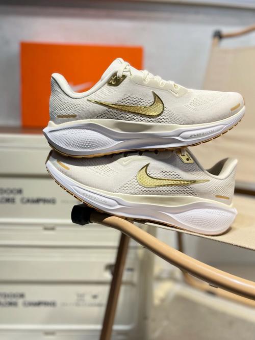 nike air zoom pegasus 41 登月跑鞋