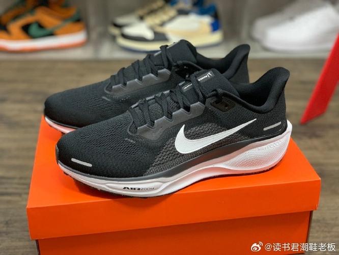 nk air zoom pegasus 41飞马系列 登月41